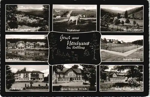 Neuhaus im Solling-Holzminden Mehrbild-AK mit Trakehner Pferd, Schwimmbad 1960