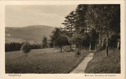 Postcard Bad Flinsberg Świeradów-Zdrój Waldweg 1925