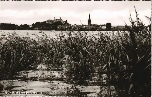 Ansichtskarte Plön PLÖNER SEE mit Schloßpartie 1960