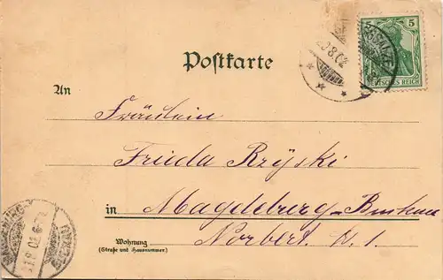 Litho AK Bad Salzelmen-Schönebeck (Elbe) Gruss-Aus-Mehrbild-  Bad Elmen 1902