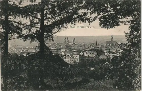 Ansichtskarte Naumburg (Saale) Panorama-Ansicht Stadt Totalansicht 1906