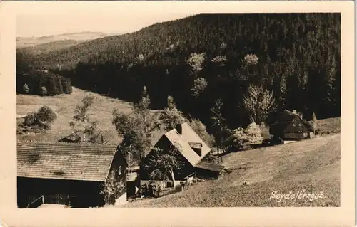 Seyde-Hermsdorf (Ost-Erzgebirge) Erzgebirge DDR Teilansicht des Dorfes 1957/1954