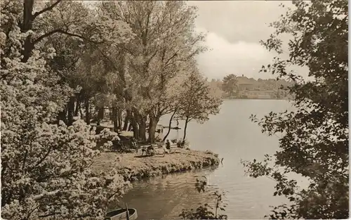 Ansichtskarte Mirow Umland-Ansicht Stadt-Park DDR Ansicht 1965/1964