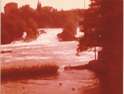Neuhausen am Rheinfall Rheinfall mit Gebäuden Enten 1986 Privatfoto Foto