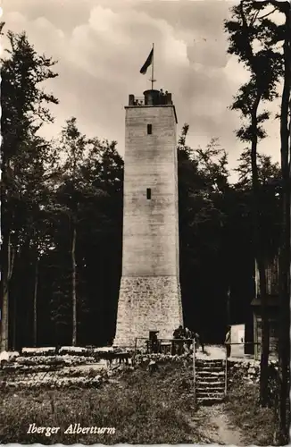 Ansichtskarte Bad Grund (Harz) Iberger Albert Turm 1961