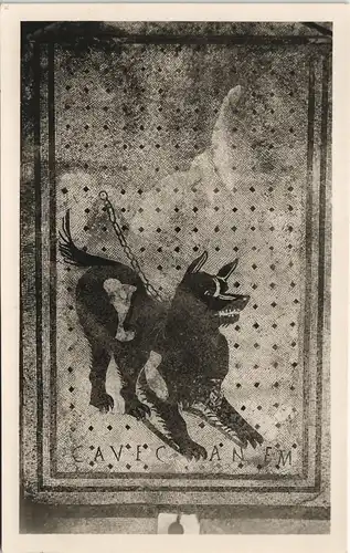 Cartoline Pompei POMPEI - Scavi. Mosaico Cave Canem 1940