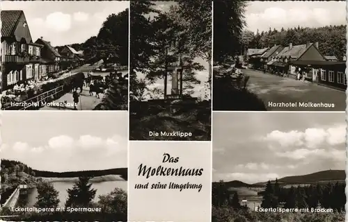 Ansichtskarte Bad Harzburg Molkenhaus, Muxklippe, Harzhotel 1963