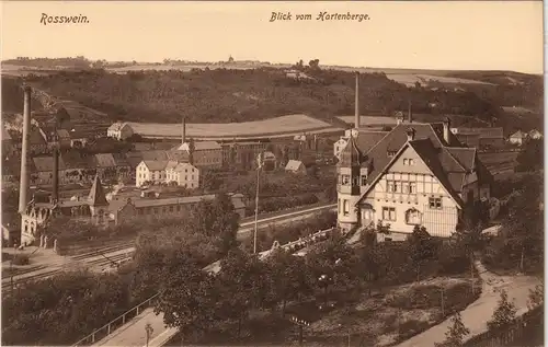 Ansichtskarte Rosswein/ Roßwein Villa, Farbriken - vom Hartenberg 1913