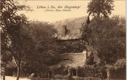 Ansichtskarte Löbau der Ziegenkopf - älteste Gebäude 1913