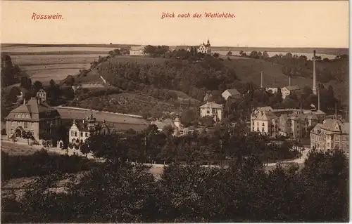 Ansichtskarte Rosswein/ Roßwein Wettinhöhe, Straßen, Fabriken 1913