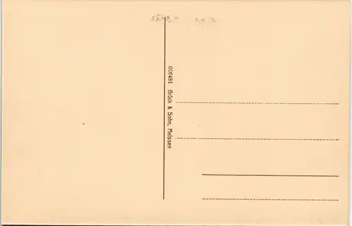 Ansichtskarte Waldenburg (Sachsen) Partie am Schloß 1914