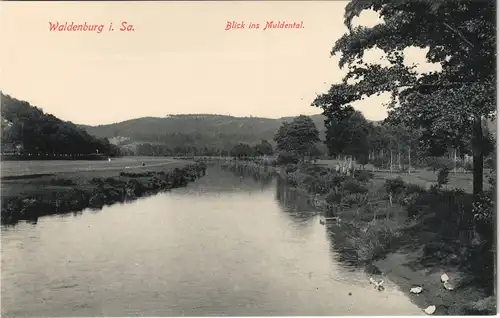 Ansichtskarte Waldenburg (Sachsen) Blick ins Muldental 1913