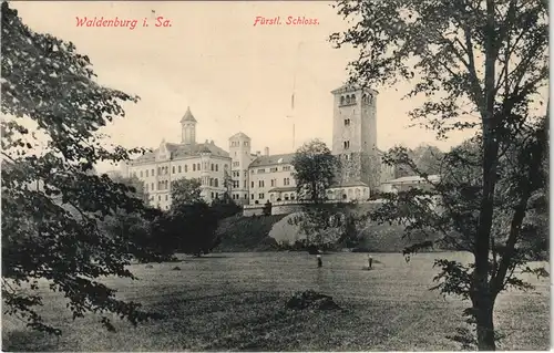 Ansichtskarte Waldenburg (Sachsen) Am Schloss 1913