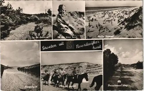 Postkaart Noordwijkerhout-Noordwijk Strandpartien, Strand, Pferde 1957