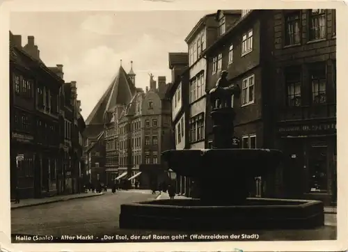 Halle (Saale) Alter Markt "Esel auf Rosen" Wahrzeichen, DDR AK 1960/1954