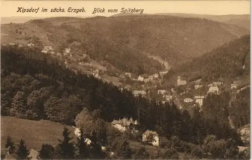 Ansichtskarte Kipsdorf-Altenberg (Erzgebirge) Blick vom Spitzberg 1915