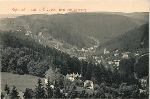 Ansichtskarte Kipsdorf-Altenberg (Erzgebirge) Blick vom Spitzberg 1915 #
