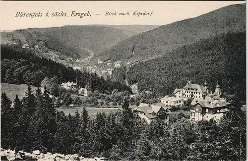 Kipsdorf-Altenberg (Erzgebirge) Stadt Werbung Pension Villa Lydia 1915