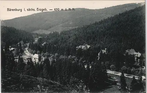 Ansichtskarte Bärenfels (Erzgebirge)-Altenberg (Erzgebirge) Stadtpartie 1914