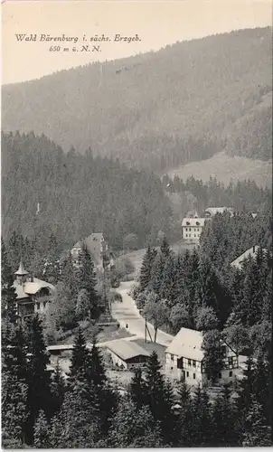 Ansichtskarte Bärenburg-Altenberg (Erzgebirge) Blick auf den Ort 1918