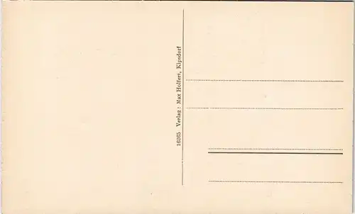 Ansichtskarte Bärenburg-Altenberg (Erzgebirge) Blick auf den Ort 1918