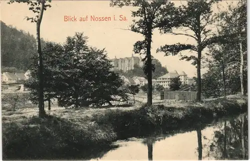 Ansichtskarte Nossen Flußpartie an der Stadt 1913