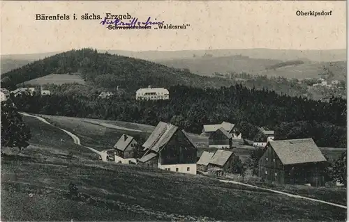Bärenfels (Erzgebirge)-Altenberg  Oberkipsdorf Schwesternheim Waldesruh 1913