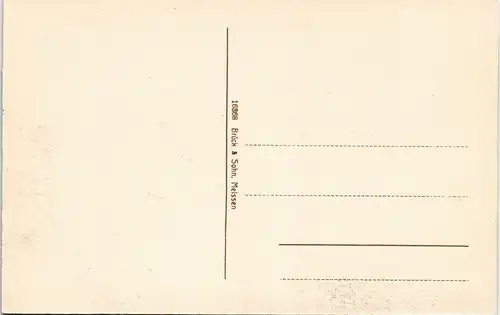 Postcard Marienbad Mariánské Lázně Villenviertel 1913