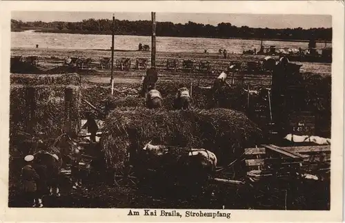 Postcard Braila Brăila Strohempfang am Hafen 1913