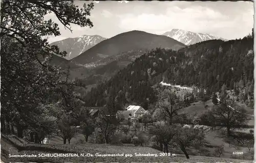 Scheuchenstein Sommerfrische am Gauermannhof geg. Schneeberg 1965