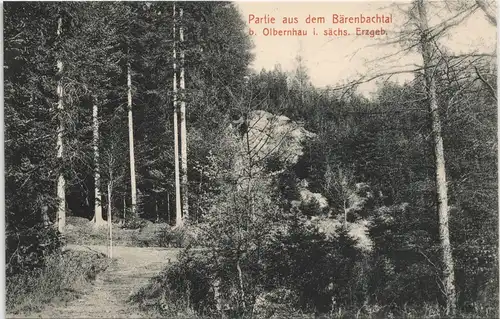 Ansichtskarte Olbernhau Partie aus dem Bärenbachtal 1913