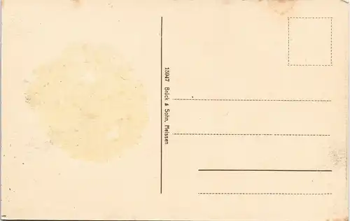 Ansichtskarte Zschopau Totalansicht 1913