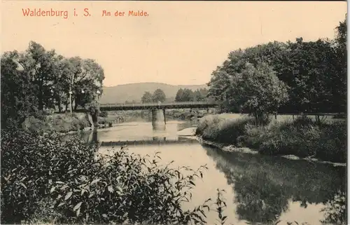 Ansichtskarte Waldenburg (Sachsen) An der Mulde 1913