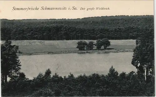 Ansichtskarte Schmannewitz-Dahlen Der große Waldteich 1916