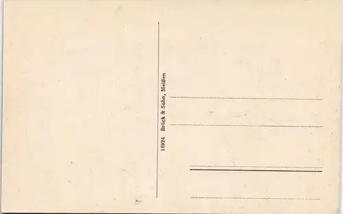 Ansichtskarte Schmannewitz-Dahlen Der große Waldteich 1916