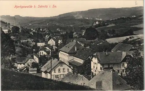 Ansichtskarte Hertigswalde-Sebnitz Stadtpartie 1913