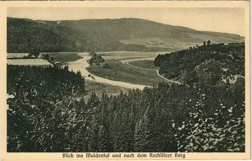 Ansichtskarte Rochlitz Blick ins Muldental zum Rochlitzer Berg 1918