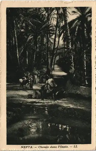 Postcard Tunesien NEFTA Chemin daus l'Oasis, Wüsten Oase 1930
