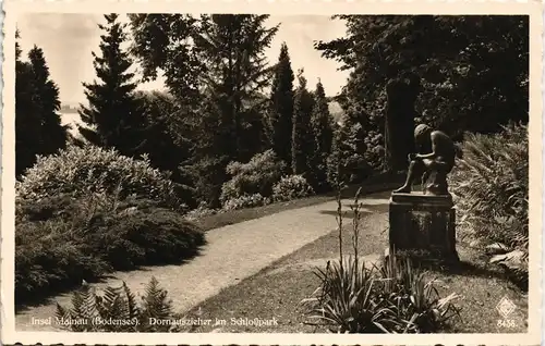 Insel Mainau-Konstanz Dornauszieher im Schloßpark Bodensee Region 1930