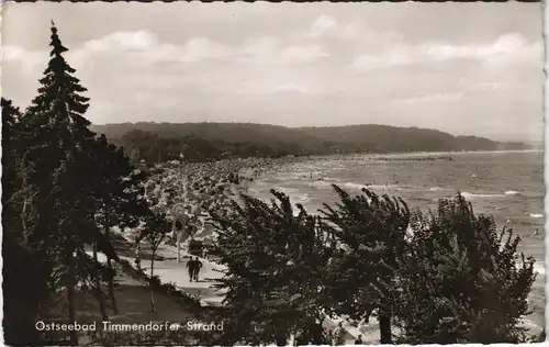 Ansichtskarte Timmendorfer Strand Strand, Bäume 1964