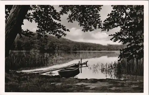 Ansichtskarte Sielbeck-Eutin Ukleisee/ Ugleisee 1951