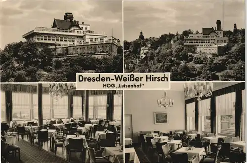 Dresden Weisser Hirsch Luisenhof HO-Gaststätte Mehrbild-AK DDR 1960