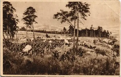 Polen Polska BITWA POD RACŁAWICAMI Panorama W. Kossaka i J. Styki we Lwowie 1920