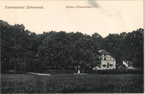Ansichtskarte Bad Liebenwerda Kurhaus Schweizerhaus 1913