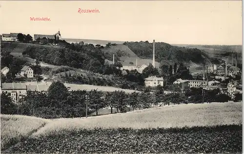 Ansichtskarte Rosswein/ Roßwein Stadt - Wettinhöhe, Fabriken 1913