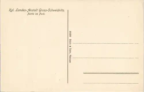Ansichtskarte Großschweidnitz (OL) Swóńca Partie im Park 1912