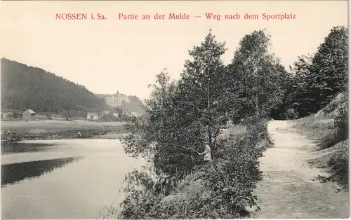 Ansichtskarte Nossen Partie an der Mulde Weg nach dem Sportplatz 1913