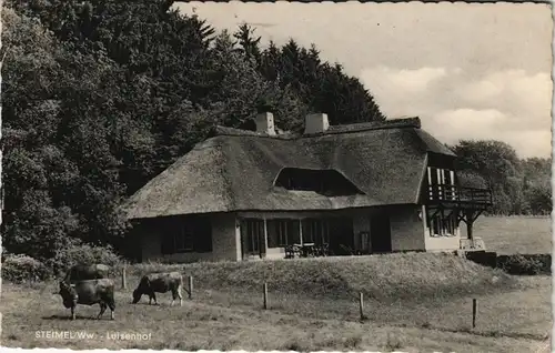 Ansichtskarte Steimel Luisenhof 1961   gelaufen mit Landpoststempel 5231 STEIMEL