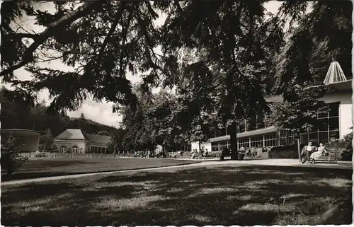 Ansichtskarte Bad Wildungen Kurpark mit Parkcafé und Wandelhalle 1956