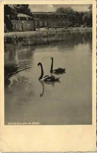 Ansichtskarte Benrath-Düsseldorf Schloss - Schwarze Schwäne 1932